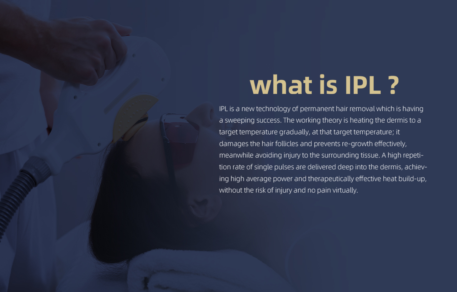 What is IPL？