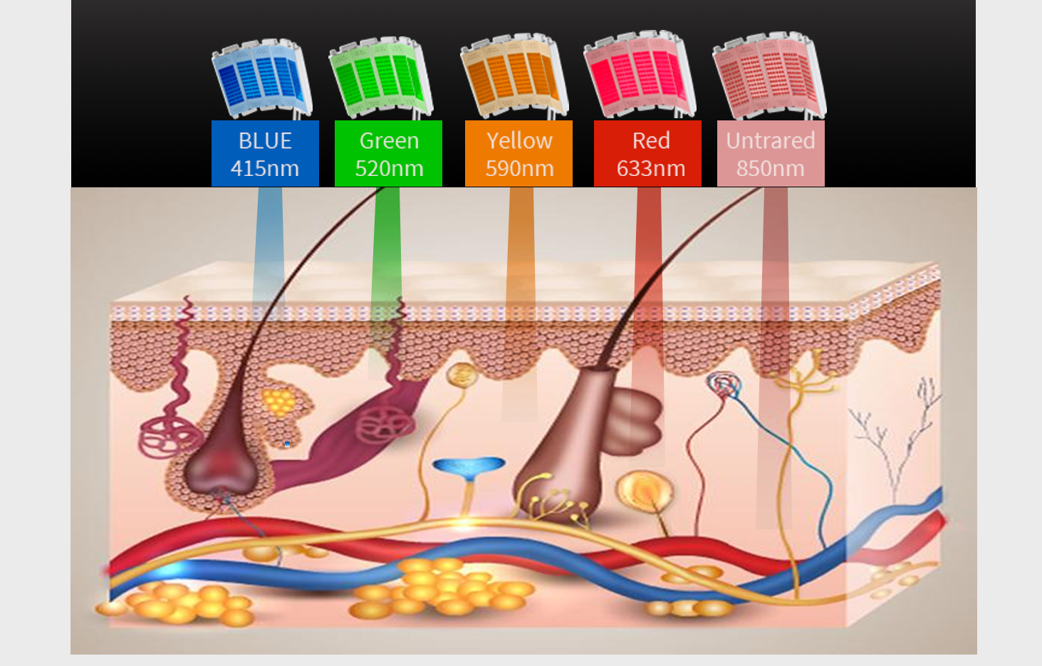 Principle of Treatment